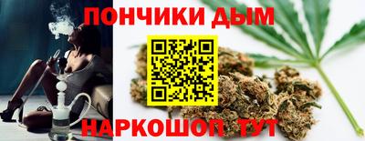сатива Краснодар