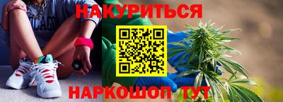 сатива Краснодар